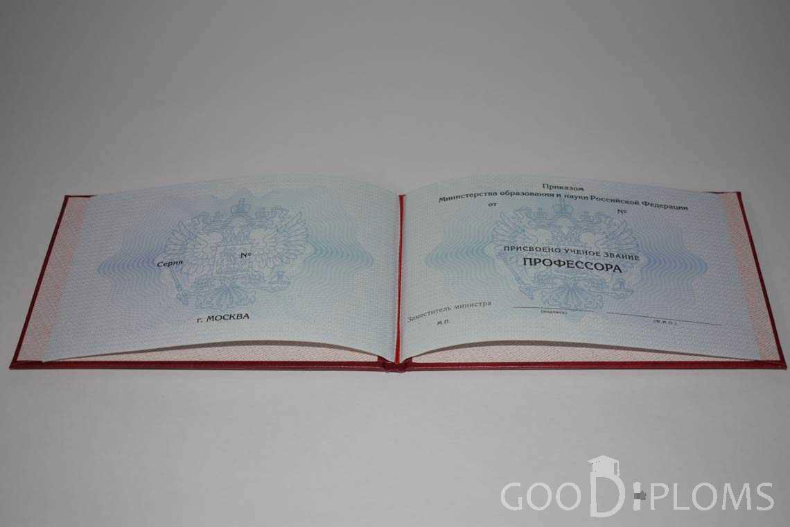 Аттестат Профессора период выдачи 2015-2020 -  Запорожье