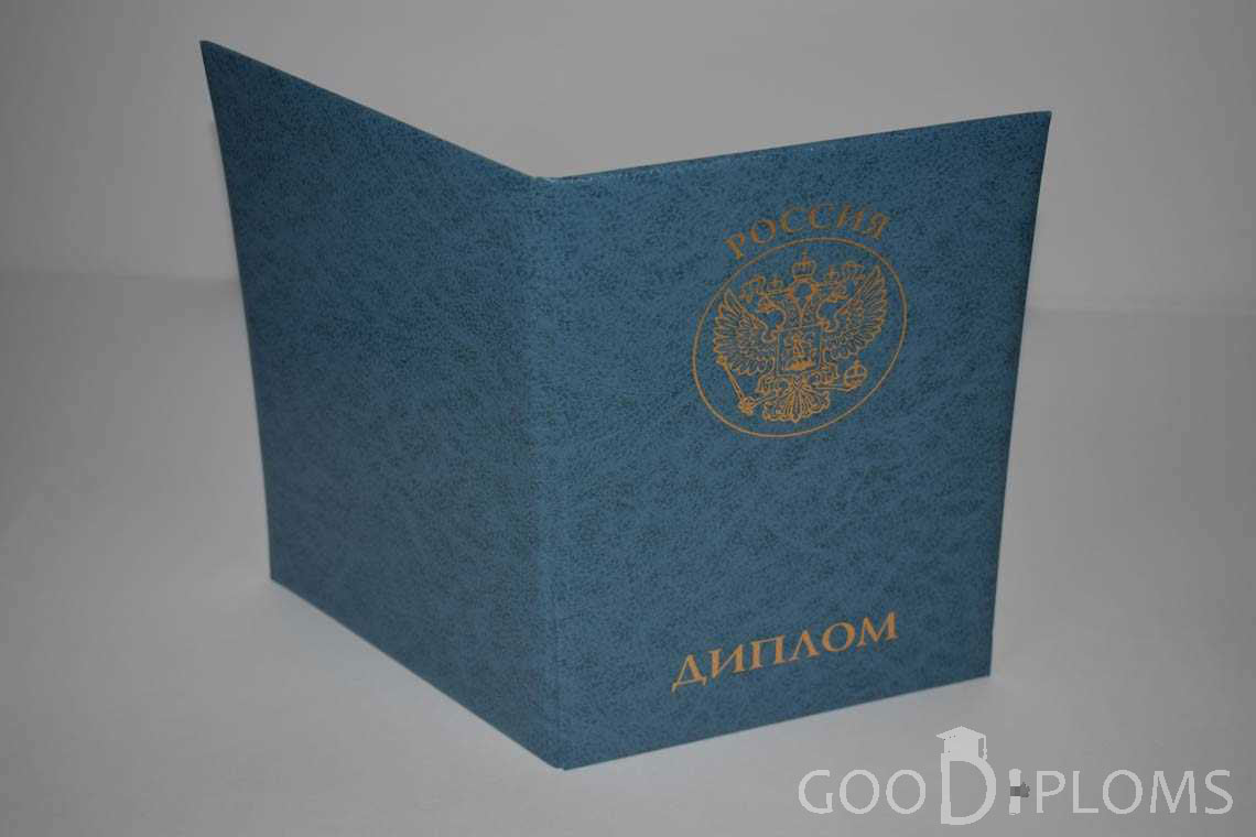 Диплом МВА - Обратная Сторона период выдачи 2011-2020 -  Запорожье