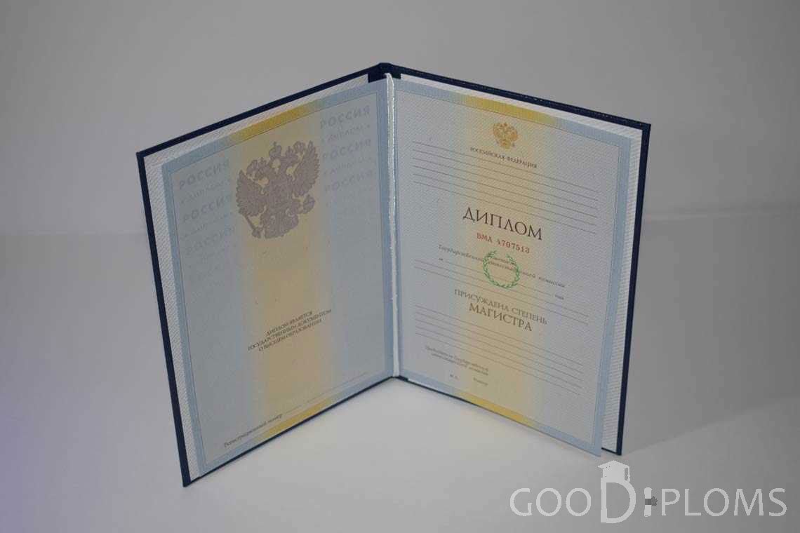 Диплом Магистра в период c 2009 по 2010 год - Запорожье