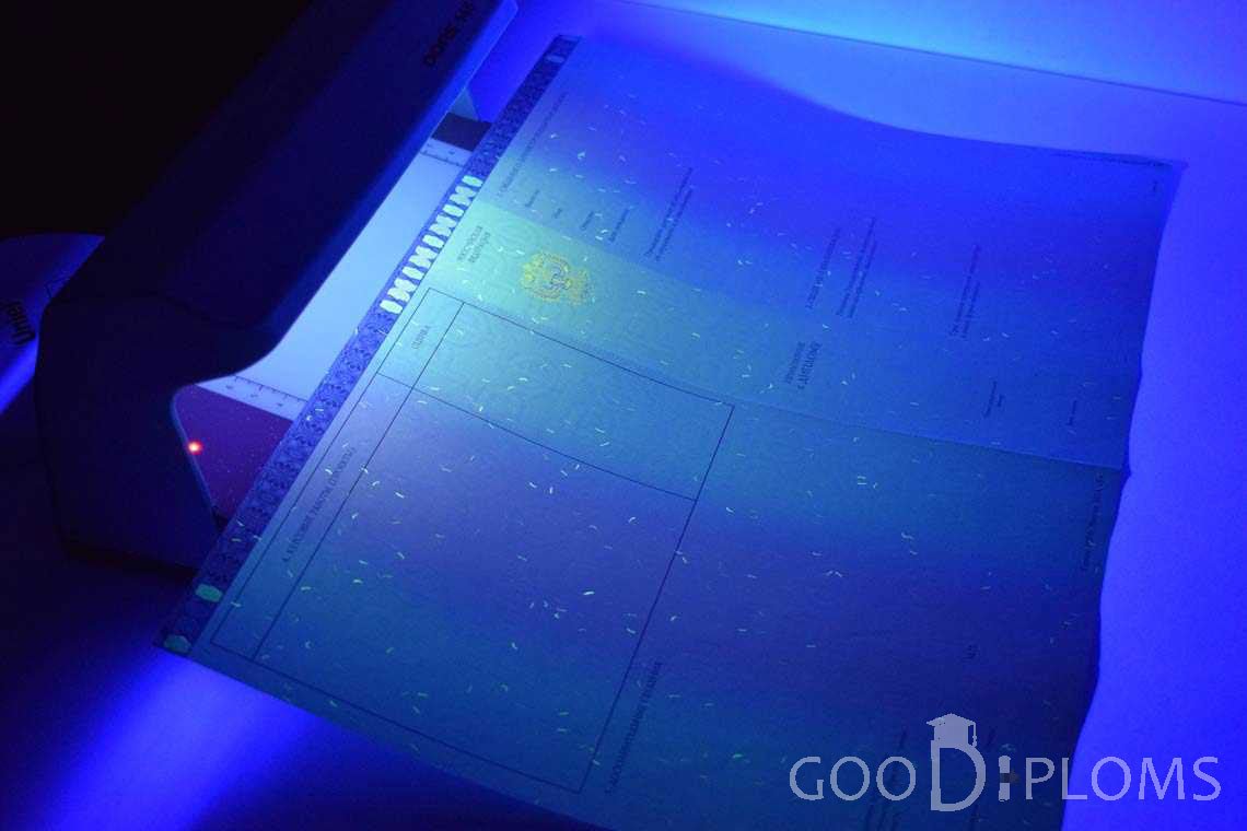 Приложение к Диплому Магистра в Ультрафиолете в период c 2014 по 2025 год - Запорожье