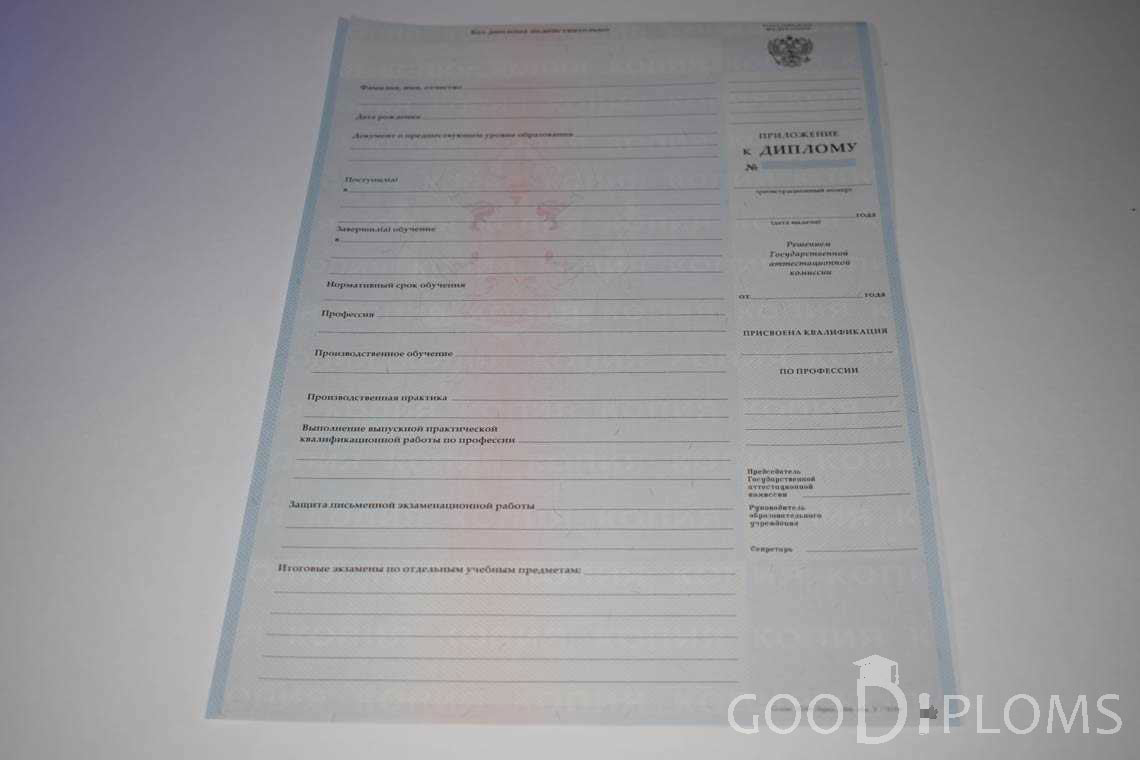 Приложение к Диплому Училища период выдачи 2007-2010  -  Запорожье