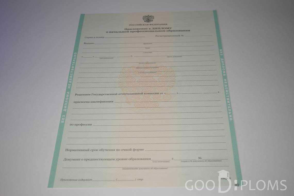 Приложение к Диплому Училища период выдачи 2011-2020  -  Запорожье