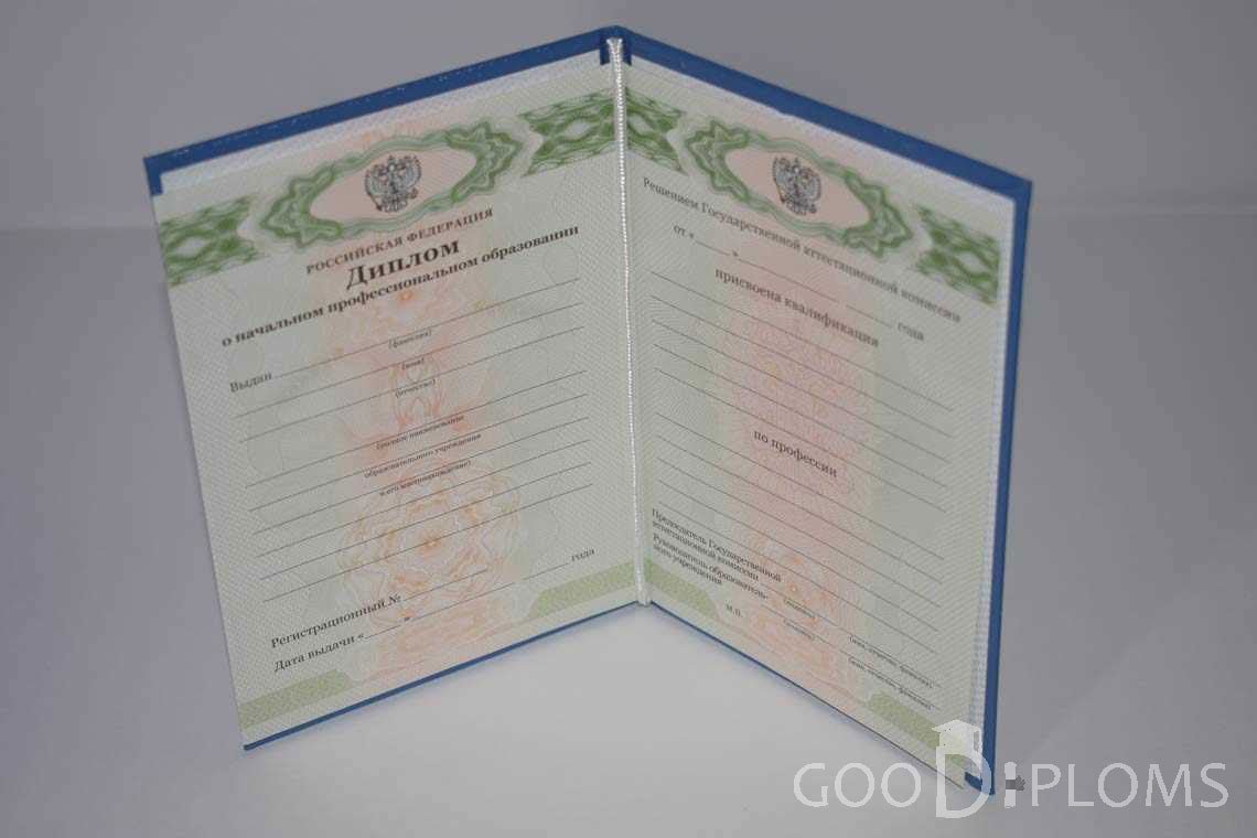 Диплом Училища период выдачи 2011-2020  -  Запорожье