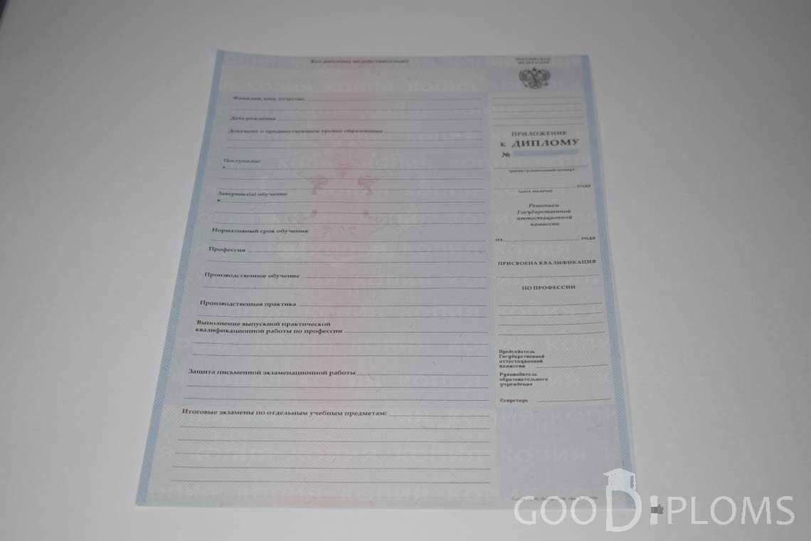 Приложение к Диплому Техникума с Отличием в период c 2008 по 2010 год - Запорожье