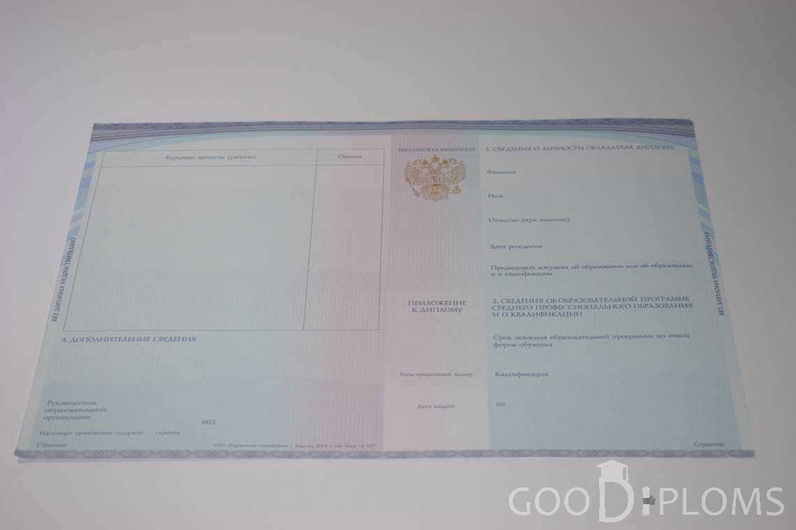 Приложение к Диплому Техникума с Отличием в период c 2014 по 2025 год - Запорожье