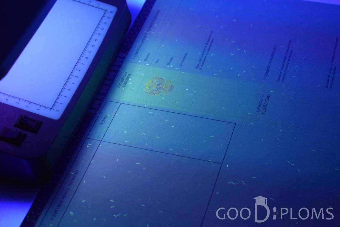Приложение к Диплому о Высшем Образовании с Отличием в Ультрафиолете - Запорожье