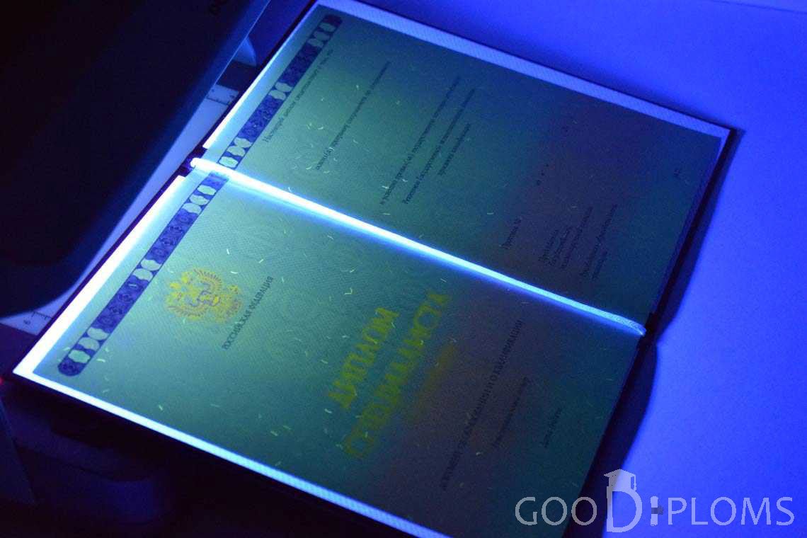 Бланк Диплома о Высшем Образовании с Отличием в Ультрафиолете - Запорожье